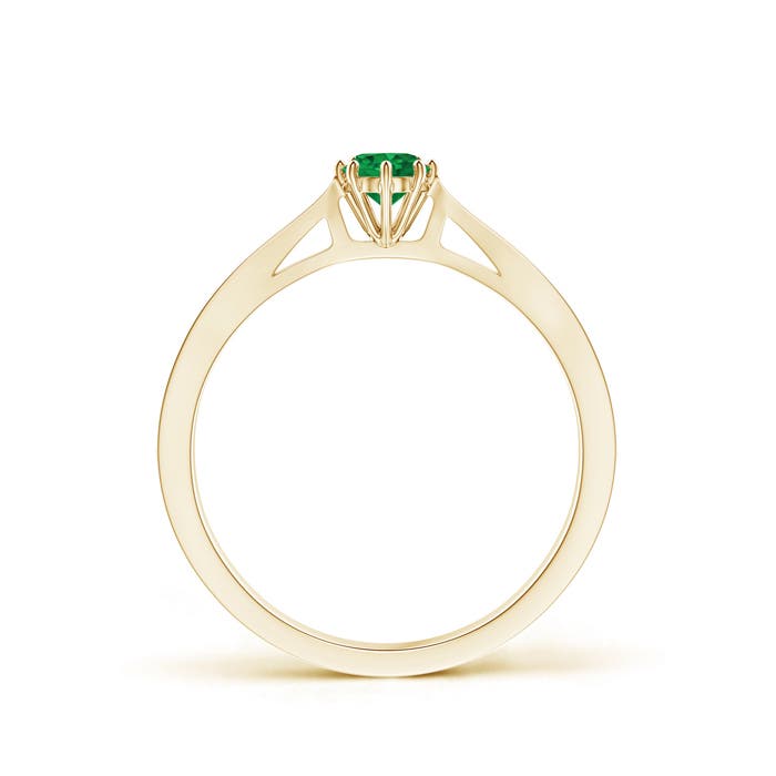 AAA - Emerald / 0.25 CT / 14 KT Yellow Gold