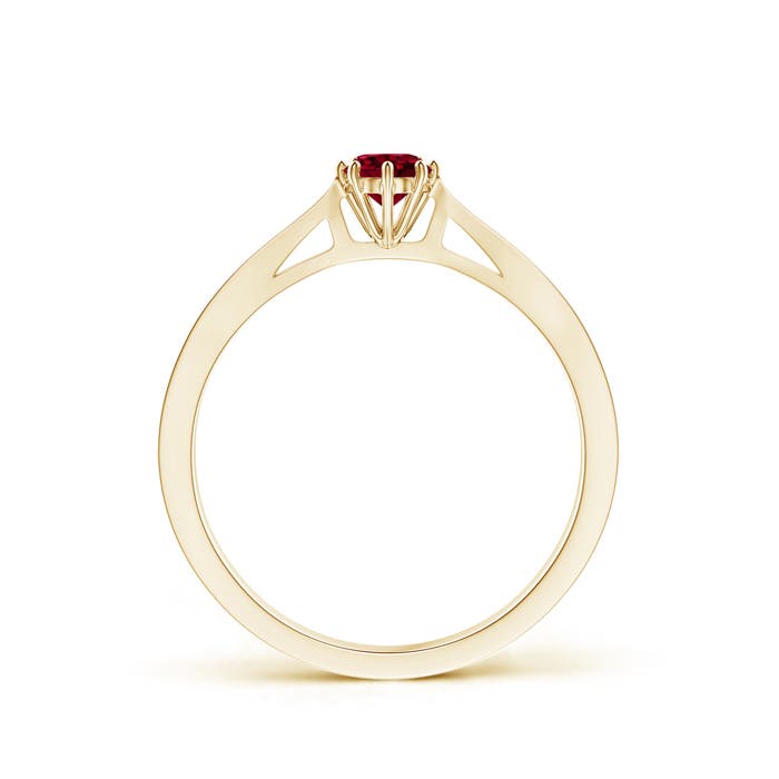 AA - Garnet / 0.34 CT / 14 KT Yellow Gold