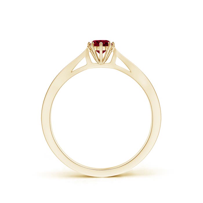 AAA - Garnet / 0.34 CT / 14 KT Yellow Gold