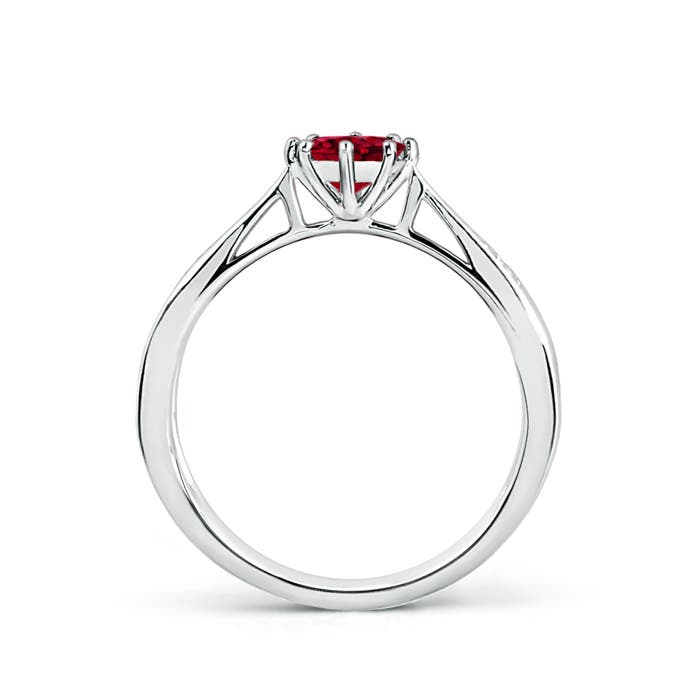 AAAA - Garnet / 0.62 CT / 14 KT White Gold