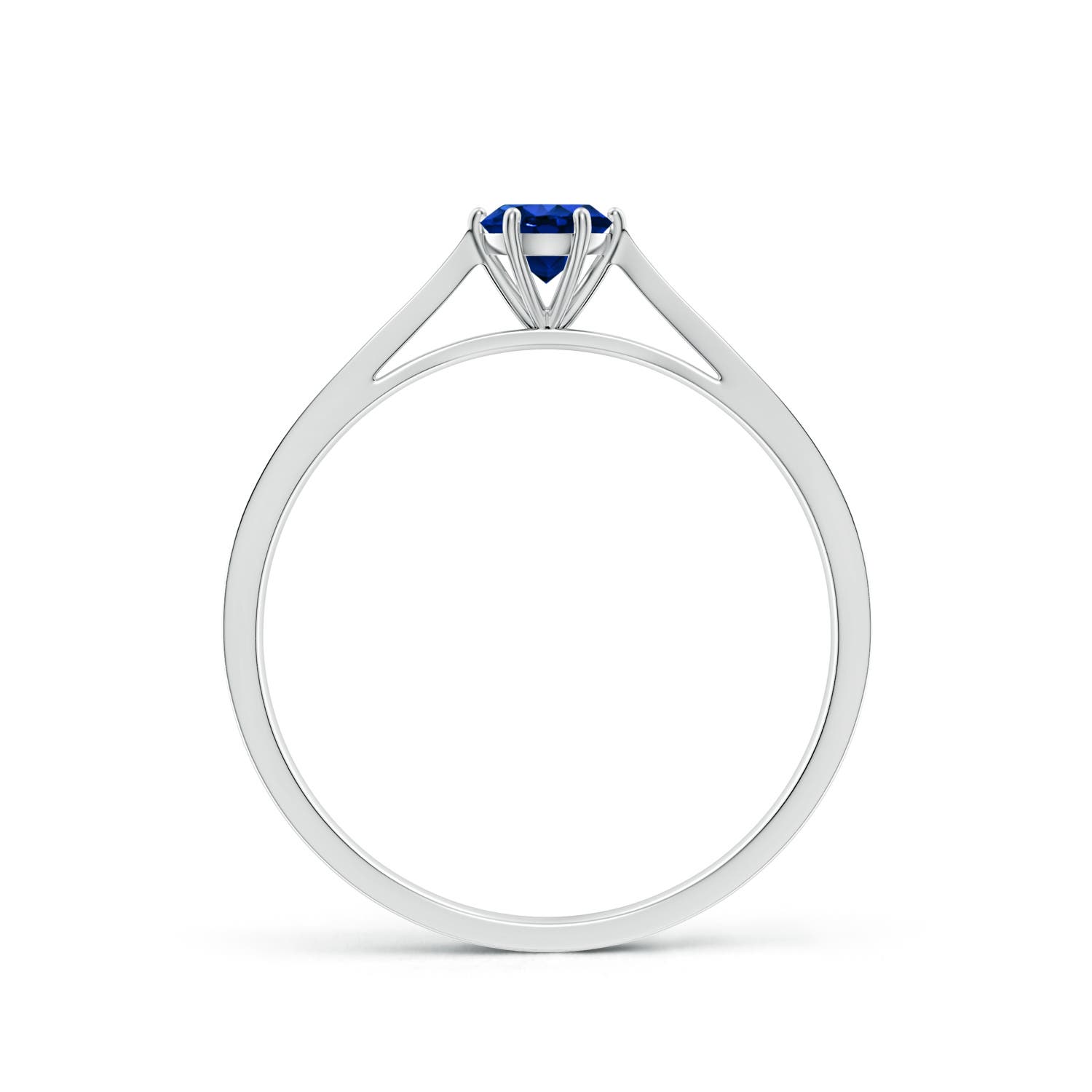 AAAA - Blue Sapphire / 0.34 CT / 14 KT White Gold