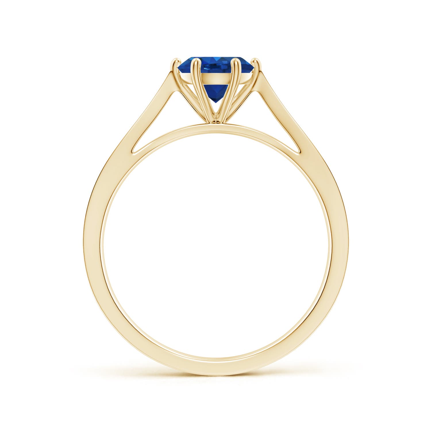 AAA - Blue Sapphire / 1.02 CT / 14 KT Yellow Gold