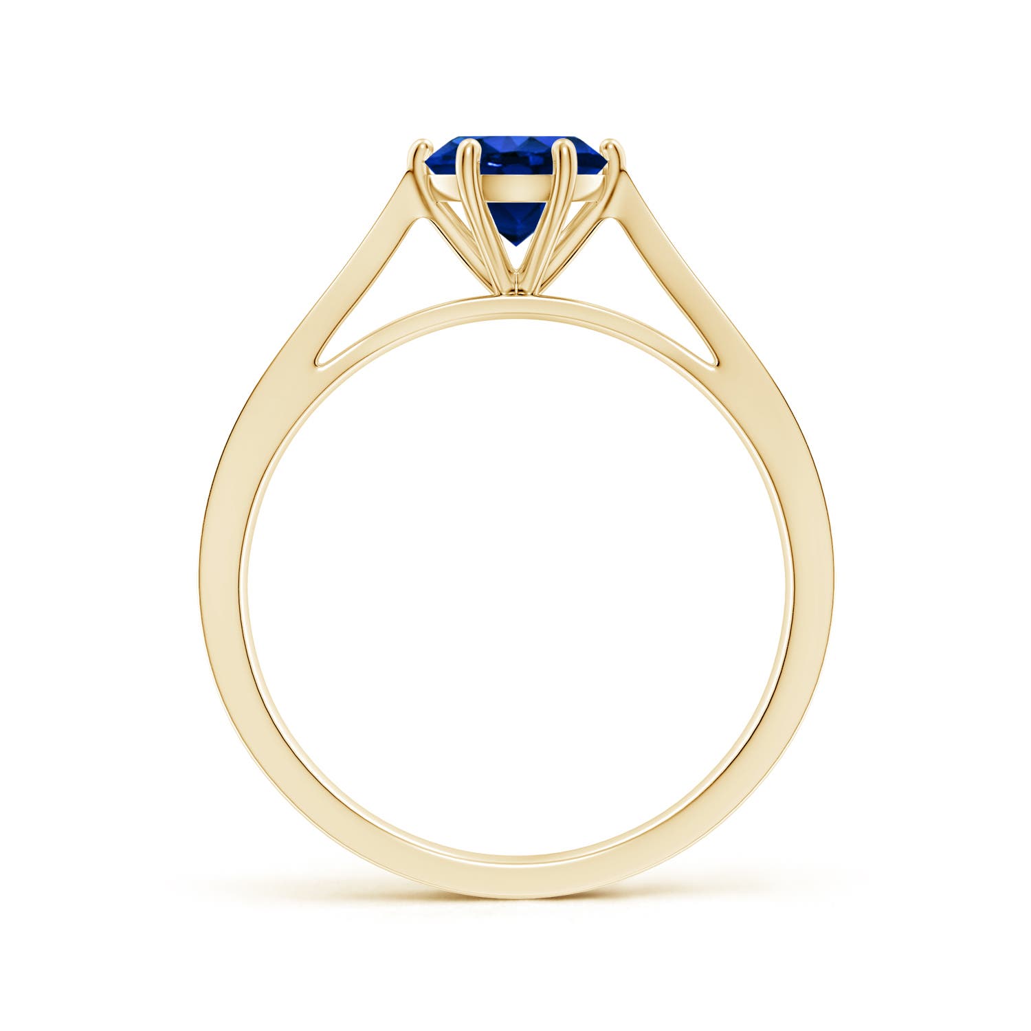 AAAA - Blue Sapphire / 1.02 CT / 14 KT Yellow Gold