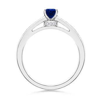 AAAA - Blue Sapphire / 0.78 CT / 14 KT White Gold