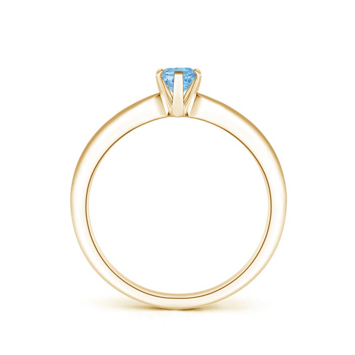 AAAA - Aquamarine / 0.4 CT / 14 KT Yellow Gold