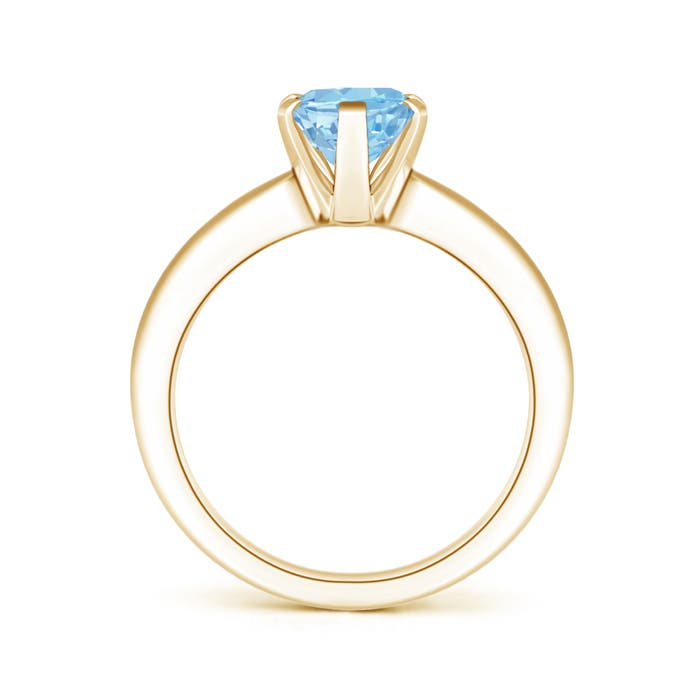 AAAA - Aquamarine / 1.5 CT / 14 KT Yellow Gold