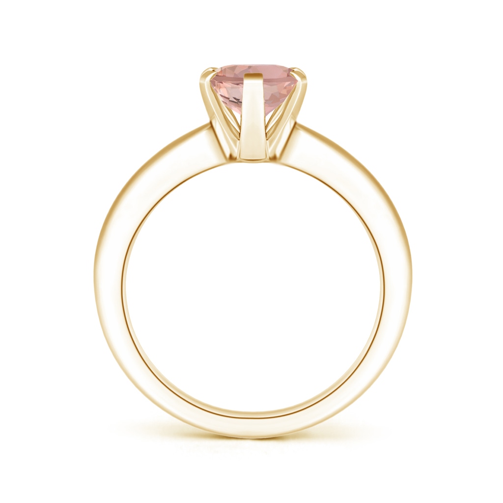 9x7mm AAAA Tapered Shank Oval Solitaire Morganite Ring in Yellow Gold - side 199