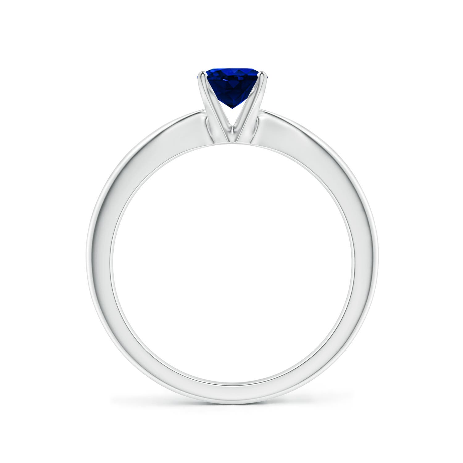 AAAA - Blue Sapphire / 0.85 CT / 14 KT White Gold