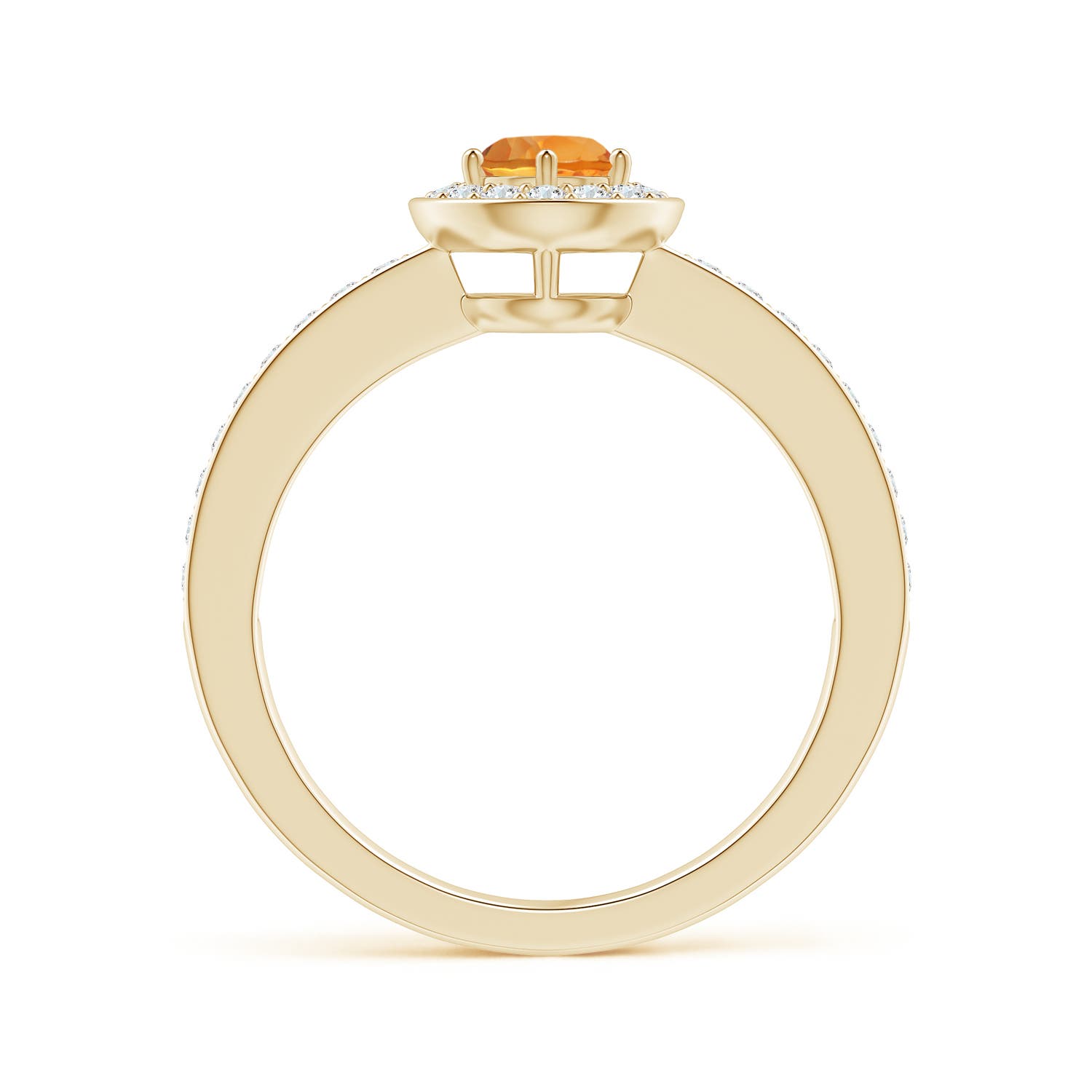 AAA - Citrine / 0.67 CT / 14 KT Yellow Gold