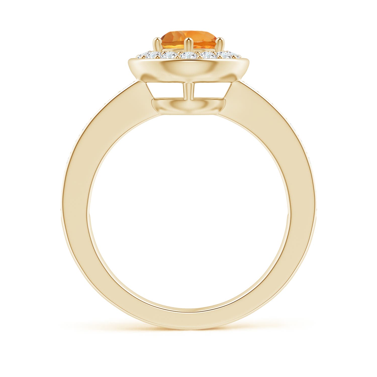 AAA - Citrine / 1.06 CT / 14 KT Yellow Gold