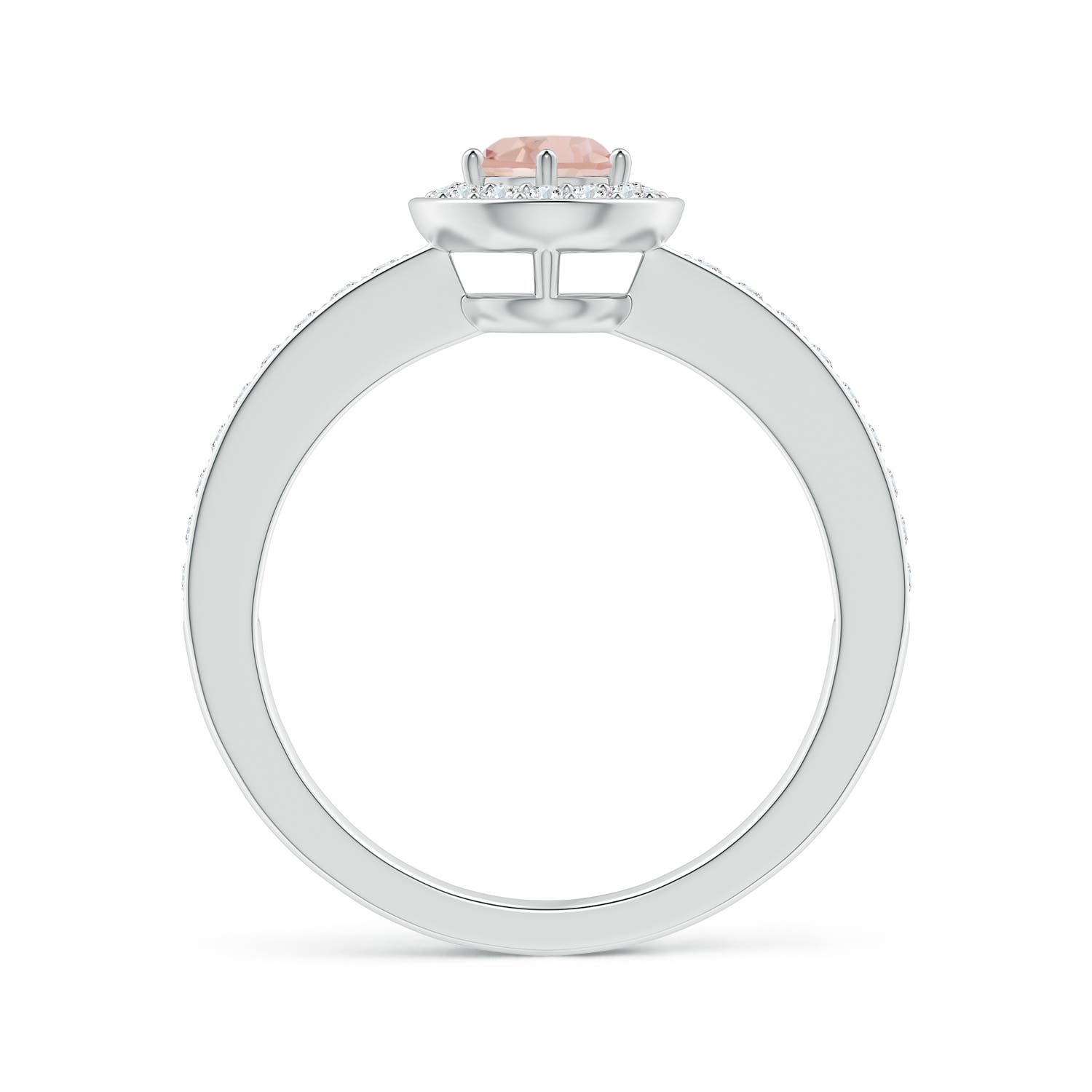 AAA - Morganite / 0.64 CT / 14 KT White Gold