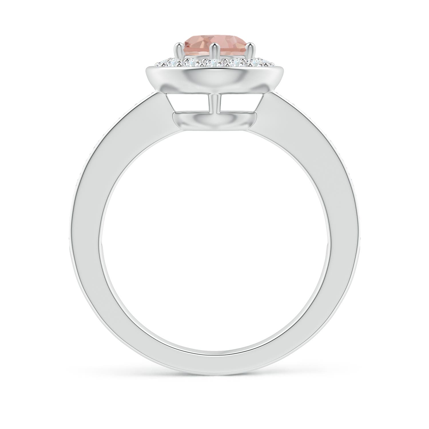 AAA - Morganite / 1.06 CT / 14 KT White Gold