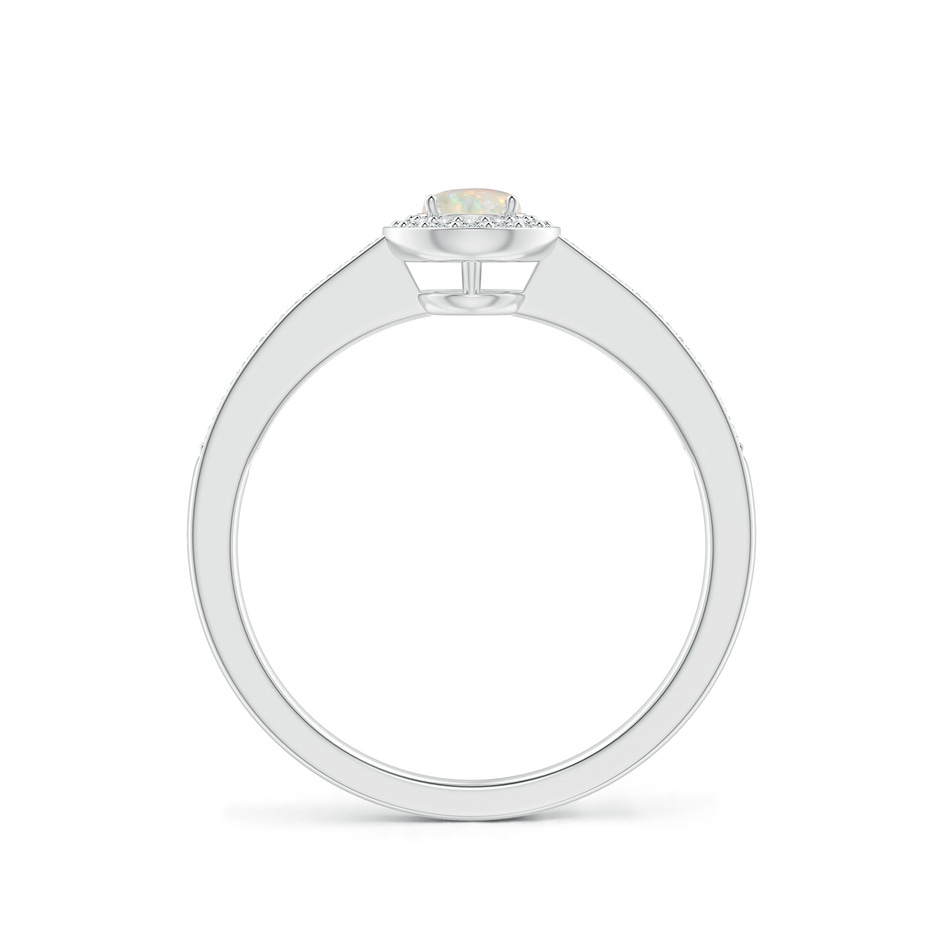 4mm AAA Opal Halo Ring with Diamond Accents in White Gold side 199