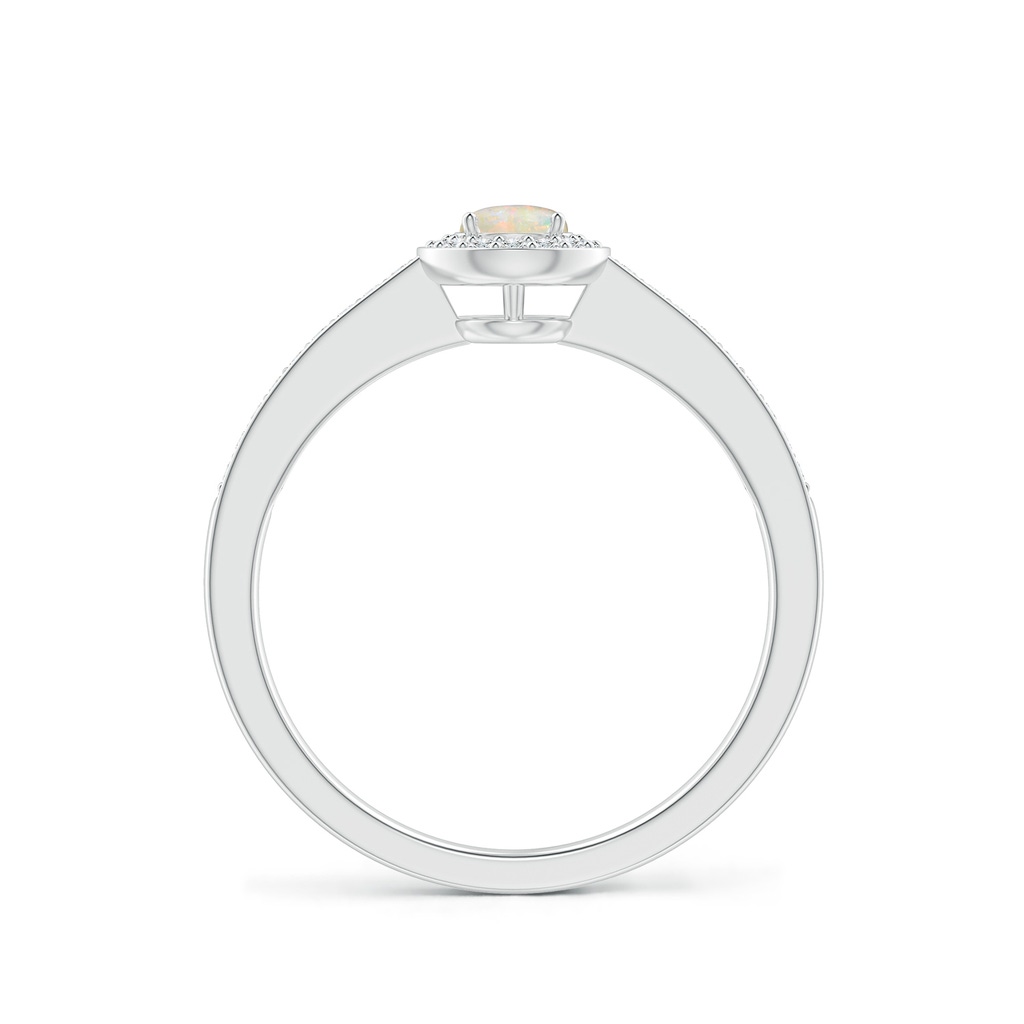 4mm AAAA Opal Halo Ring with Diamond Accents in P950 Platinum - side 199