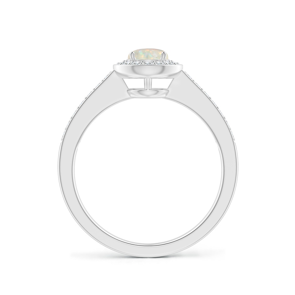 5mm AAA Opal Halo Ring with Diamond Accents in P950 Platinum side 199