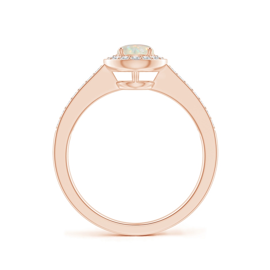 5mm AAA Opal Halo Ring with Diamond Accents in Rose Gold side 199