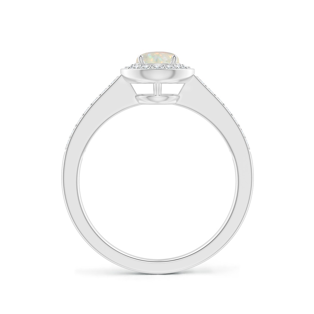 5mm AAA Opal Halo Ring with Diamond Accents in White Gold - side 199