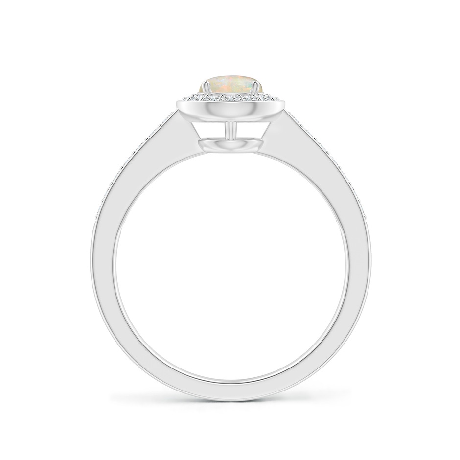 5mm AAAA Opal Halo Ring with Diamond Accents in P950 Platinum side 199