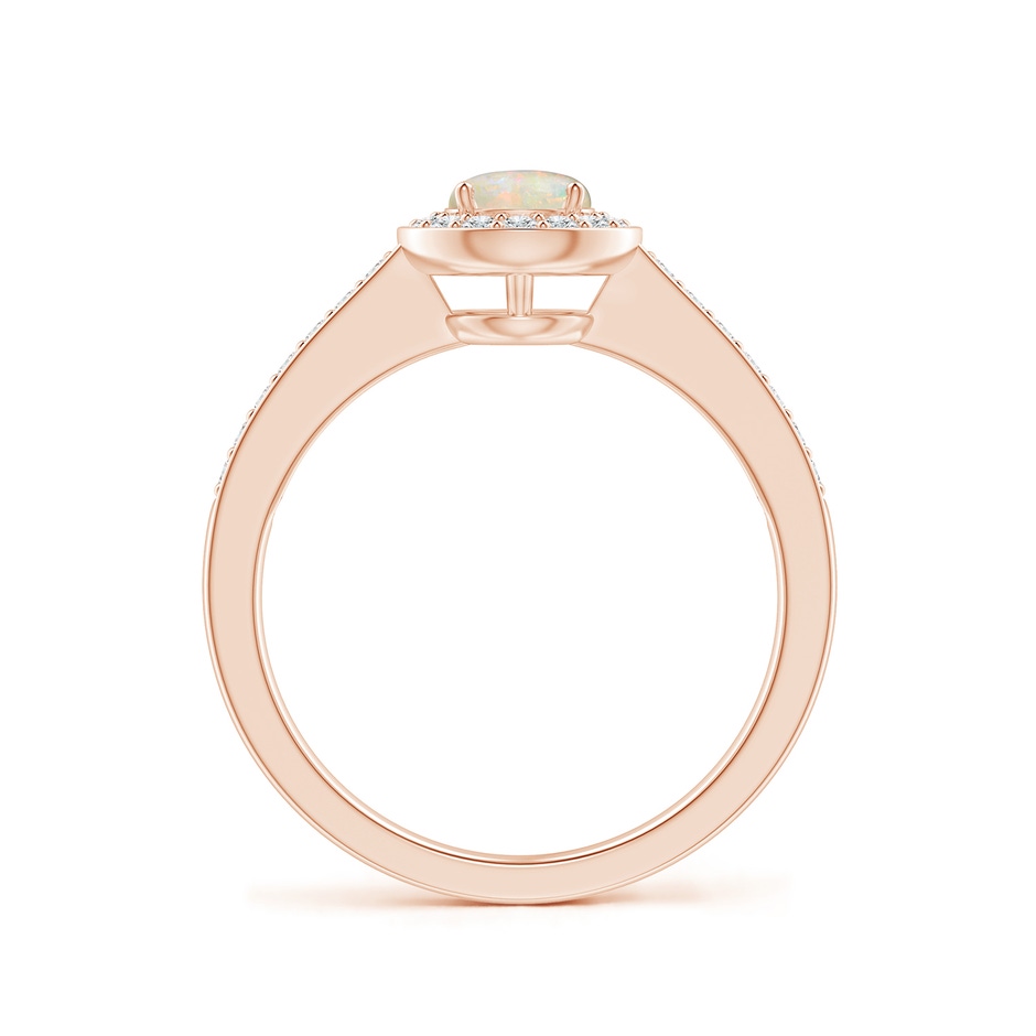 5mm AAAA Opal Halo Ring with Diamond Accents in Rose Gold side 199