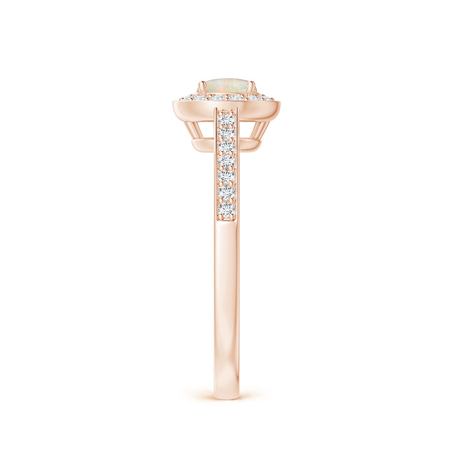 5mm AAAA Opal Halo Ring with Diamond Accents in Rose Gold side 299
