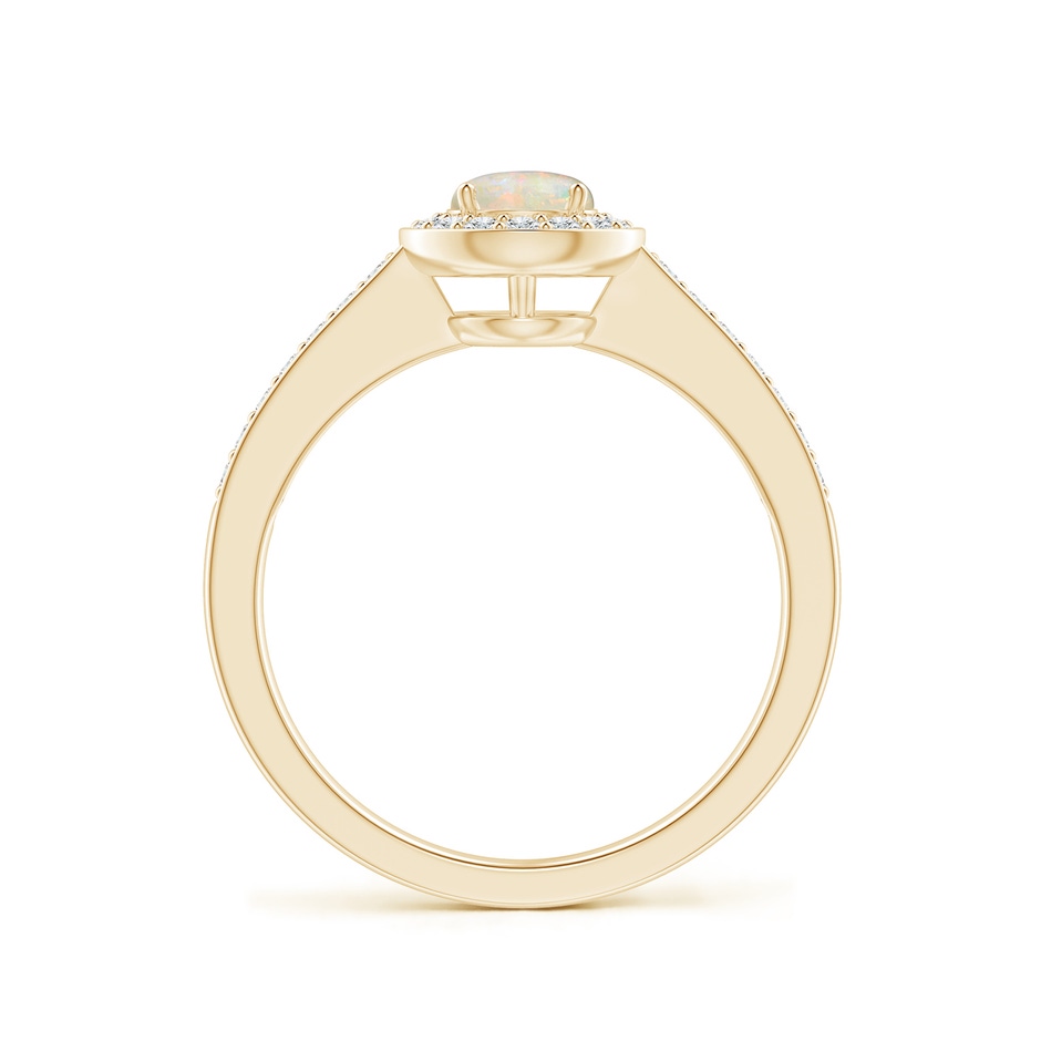 5mm AAAA Opal Halo Ring with Diamond Accents in Yellow Gold side 199
