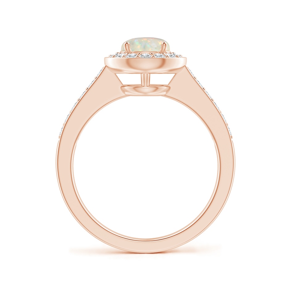 6mm AAA Opal Halo Ring with Diamond Accents in 18K Rose Gold side 199