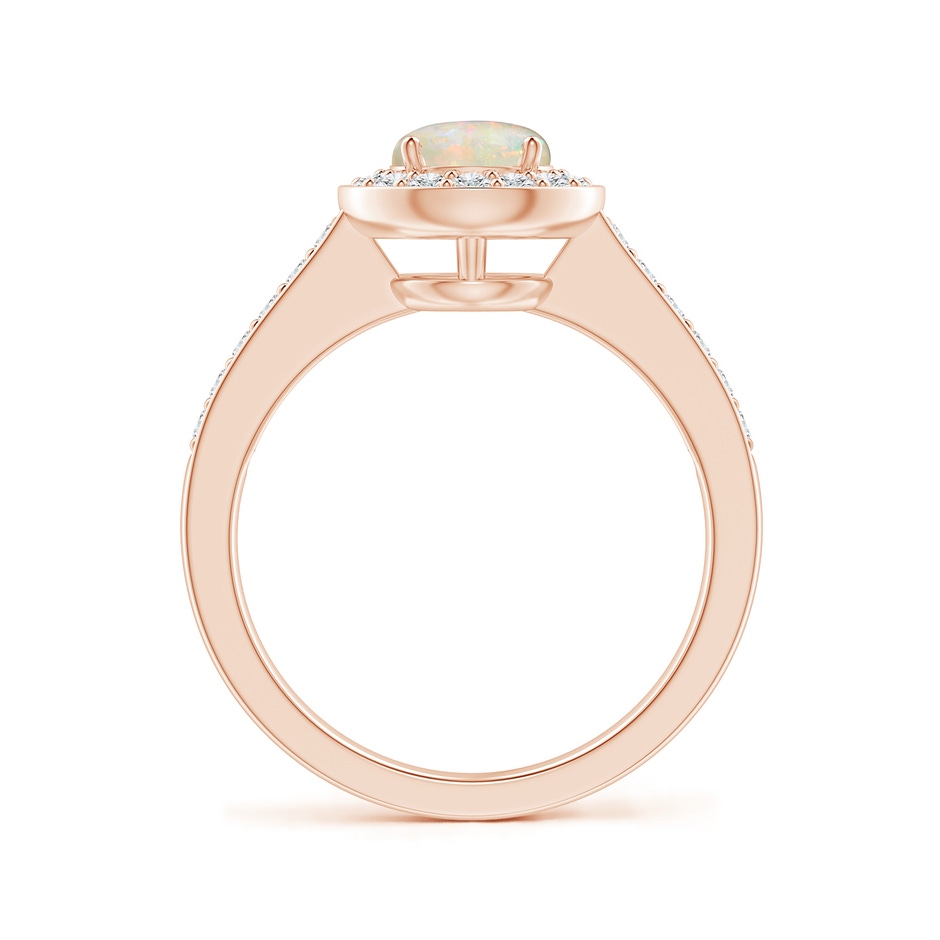 6mm AAAA Opal Halo Ring with Diamond Accents in 18K Rose Gold side 199