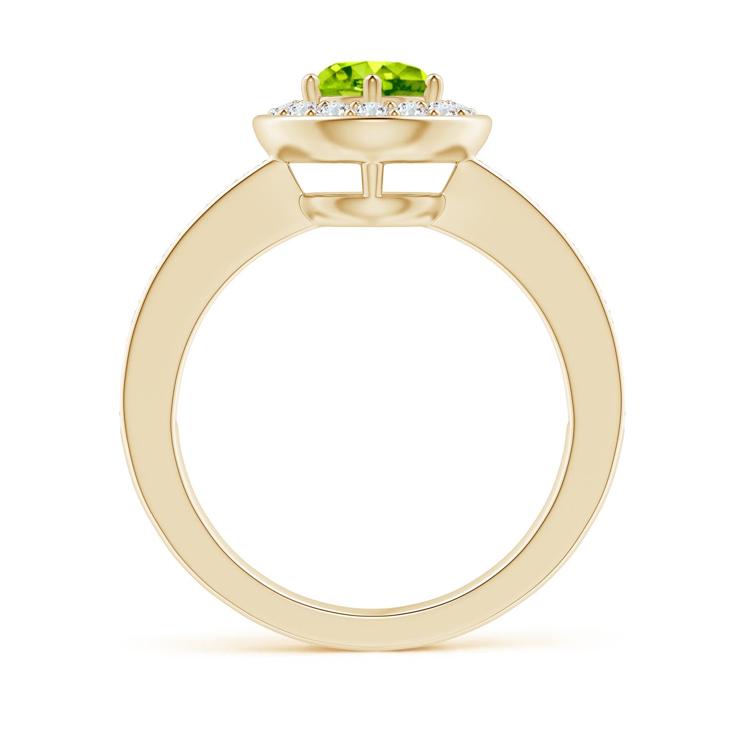 AAA - Peridot / 1.31 CT / 14 KT Yellow Gold