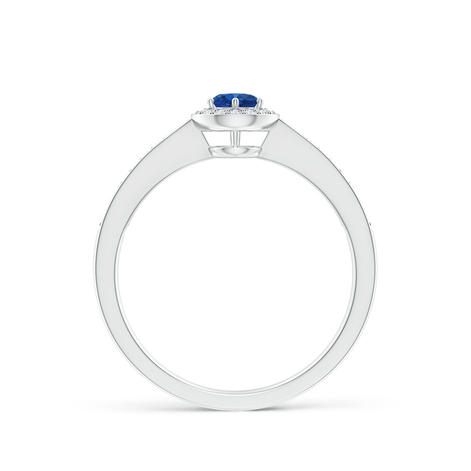 4mm AAA Blue Sapphire Halo Ring with Diamond Accents in White Gold side 199