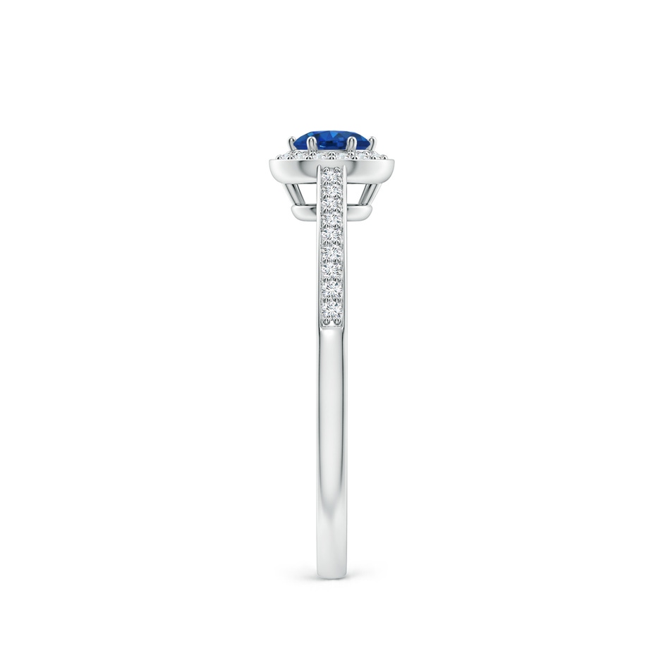 4mm AAA Blue Sapphire Halo Ring with Diamond Accents in White Gold side 299