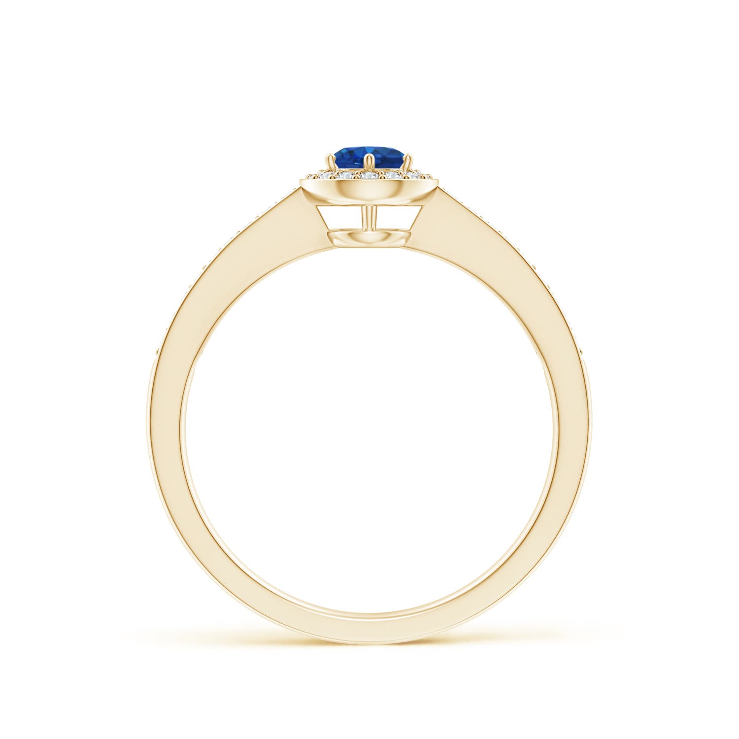 AAA - Blue Sapphire / 0.49 CT / 14 KT Yellow Gold