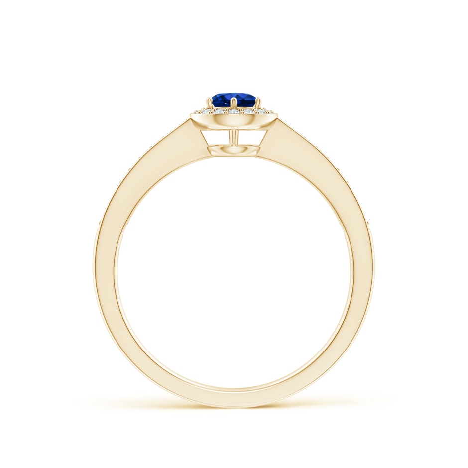 4mm AAAA Blue Sapphire Halo Ring with Diamond Accents in Yellow Gold side 199