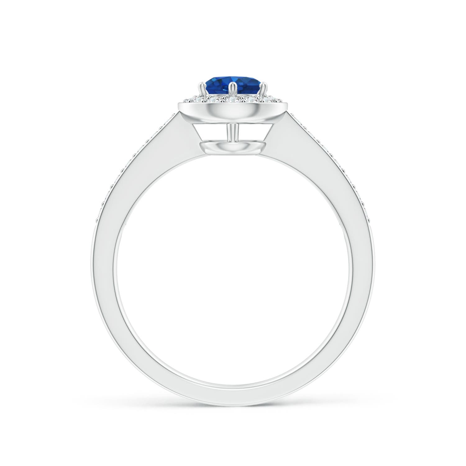 5mm AAA Blue Sapphire Halo Ring with Diamond Accents in White Gold - side 2