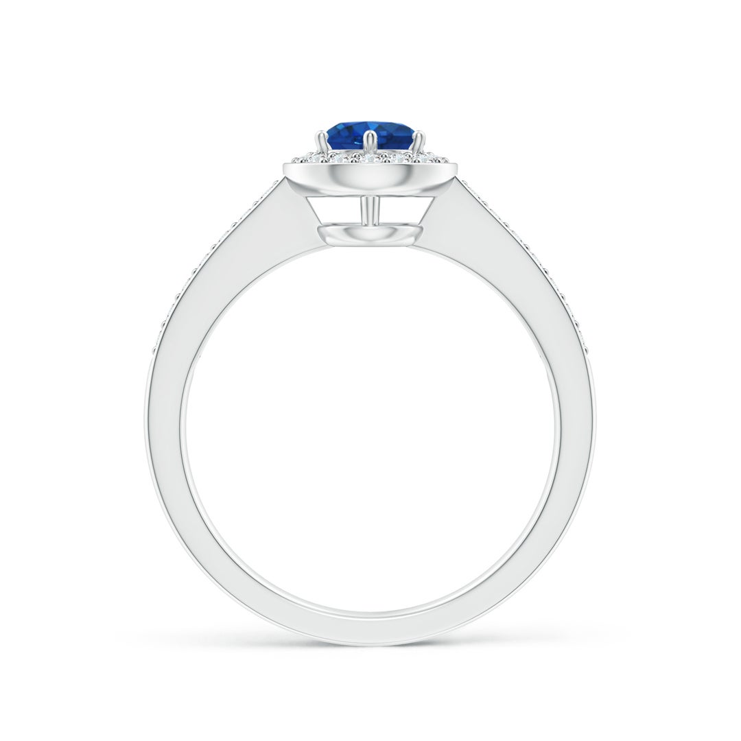 5mm AAA Blue Sapphire Halo Ring with Diamond Accents in White Gold - side 2