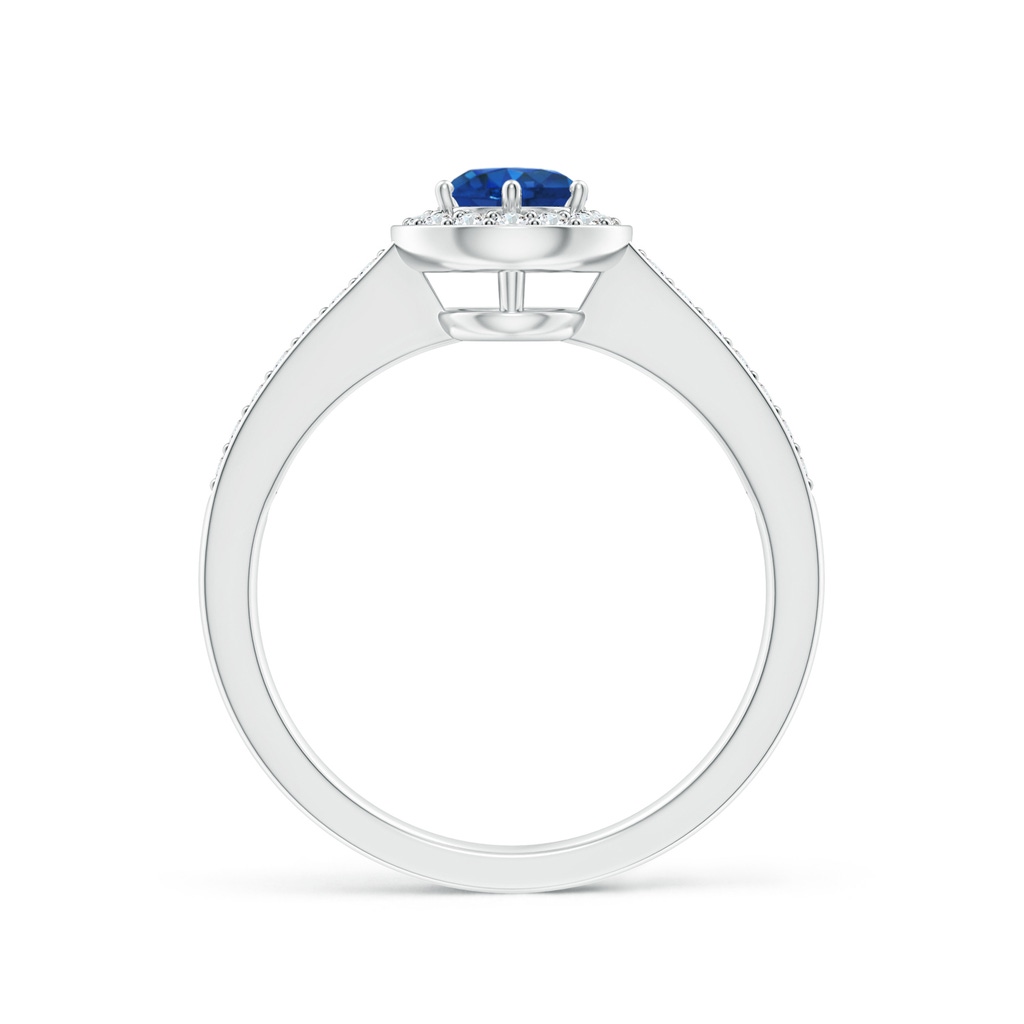 5mm AAA Blue Sapphire Halo Ring with Diamond Accents in White Gold - side 199