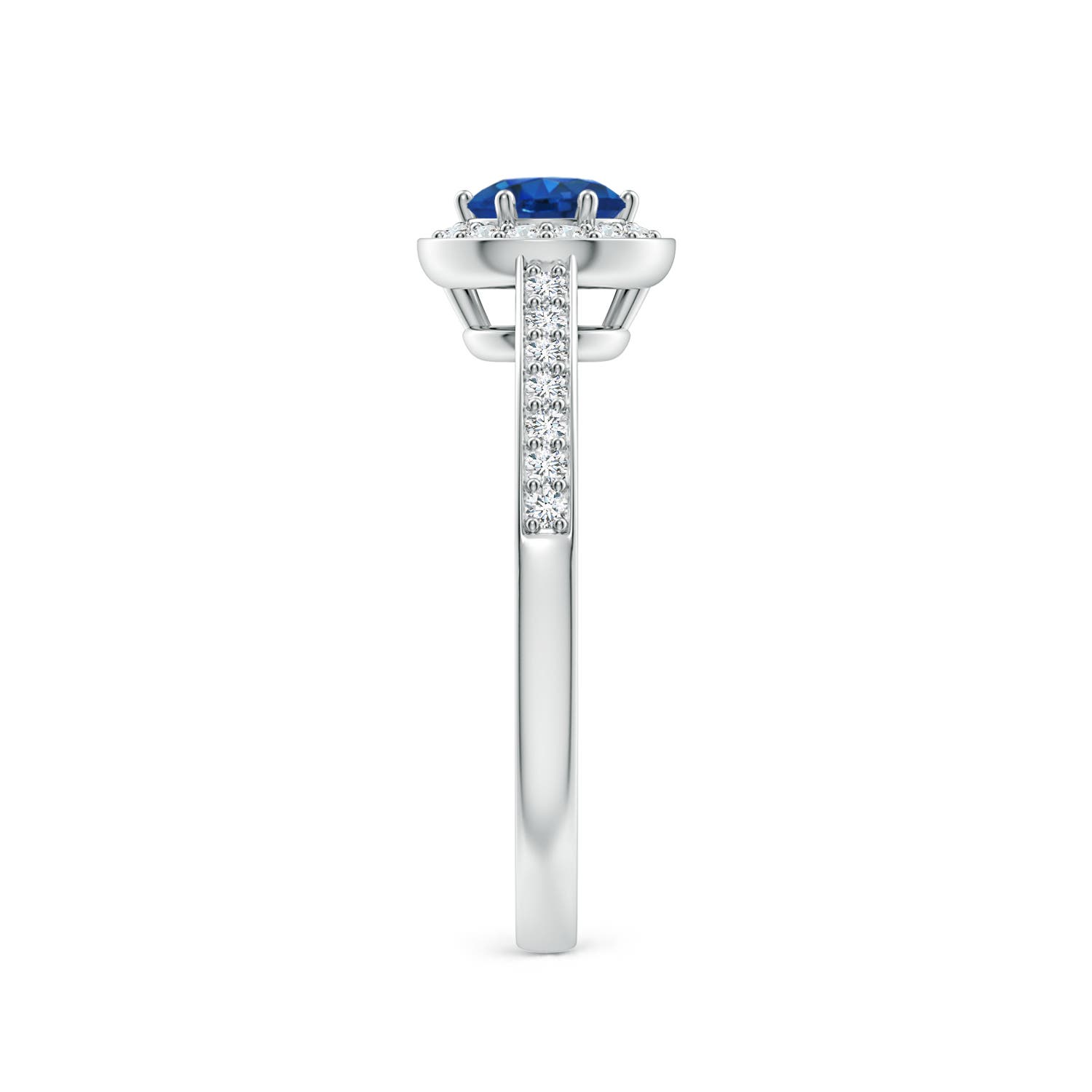 AAA - Blue Sapphire / 0.85 CT / 14 KT White Gold