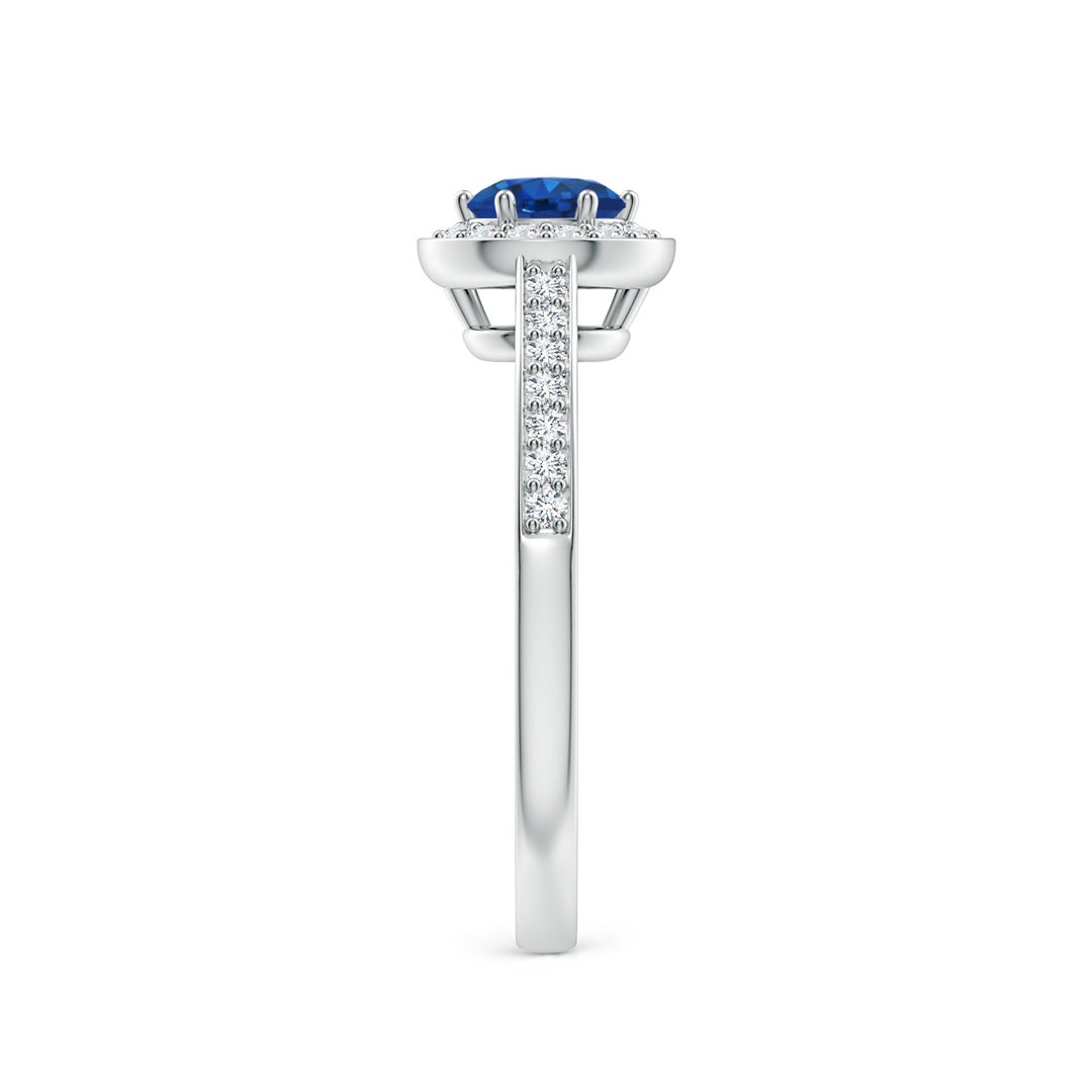 5mm AAA Blue Sapphire Halo Ring with Diamond Accents in White Gold - side 3