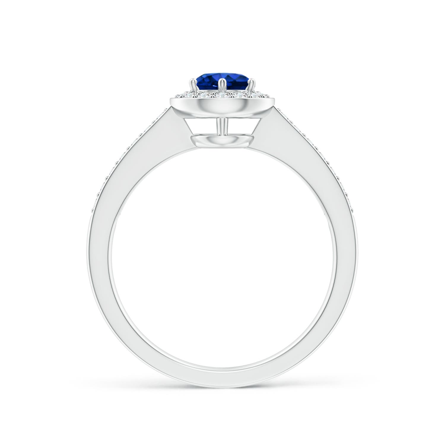 5mm AAAA Blue Sapphire Halo Ring with Diamond Accents in White Gold
