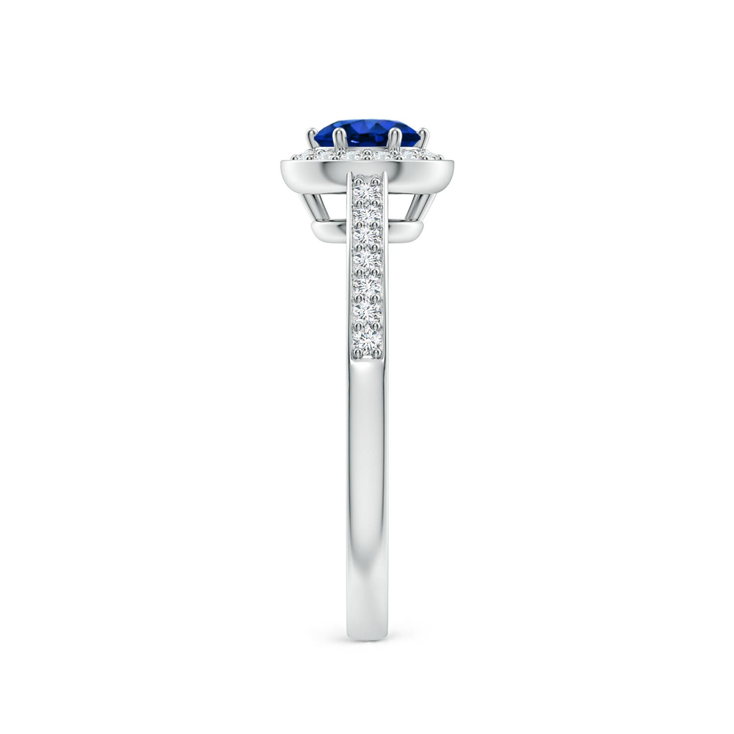 AAAA - Blue Sapphire / 0.85 CT / 14 KT White Gold