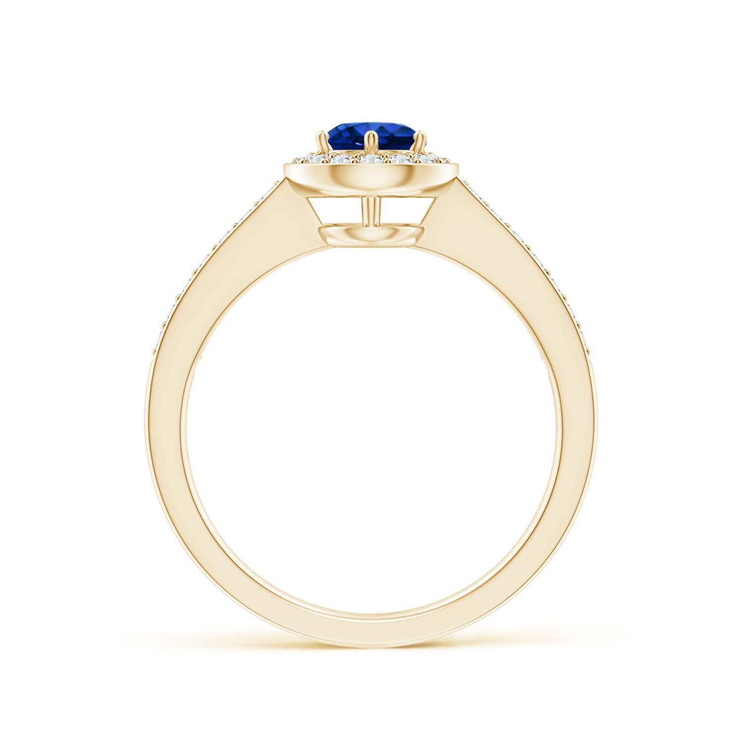 5mm AAAA Blue Sapphire Halo Ring with Diamond Accents in Yellow Gold