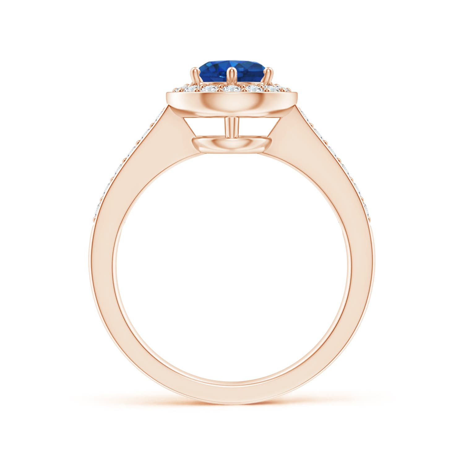 6mm AAA Blue Sapphire Halo Ring with Diamond Accents in Rose Gold