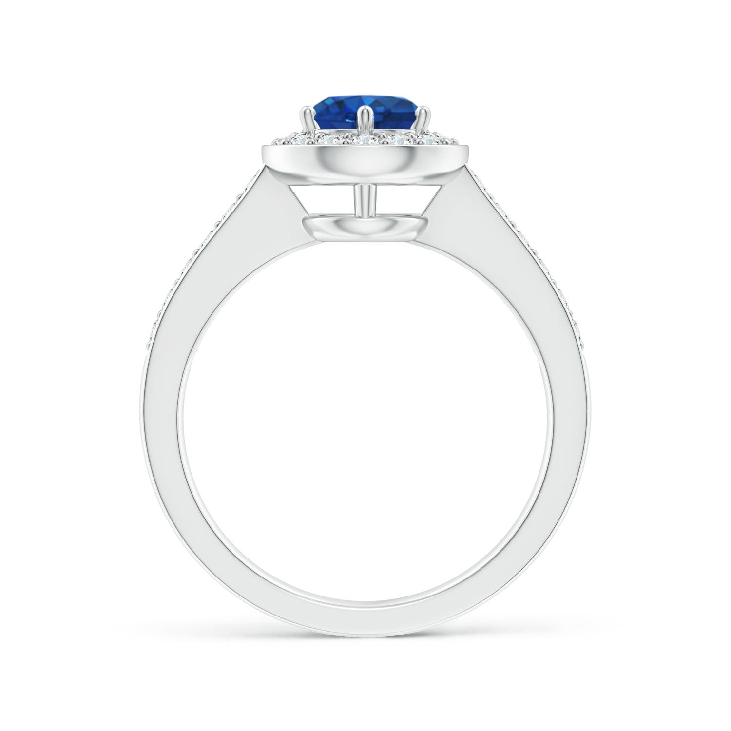 AAA - Blue Sapphire / 1.36 CT / 14 KT White Gold