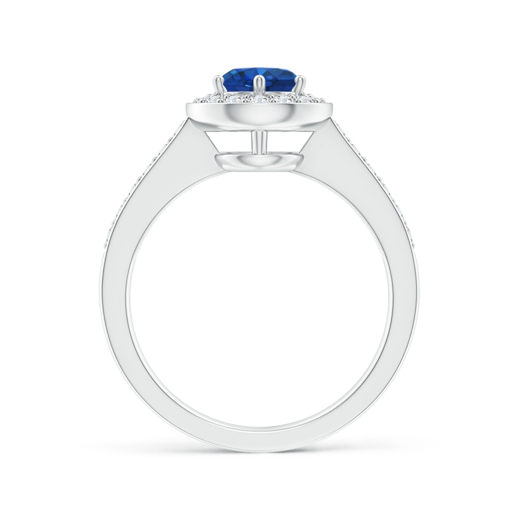 6mm AAA Blue Sapphire Halo Ring with Diamond Accents in White Gold - side 199