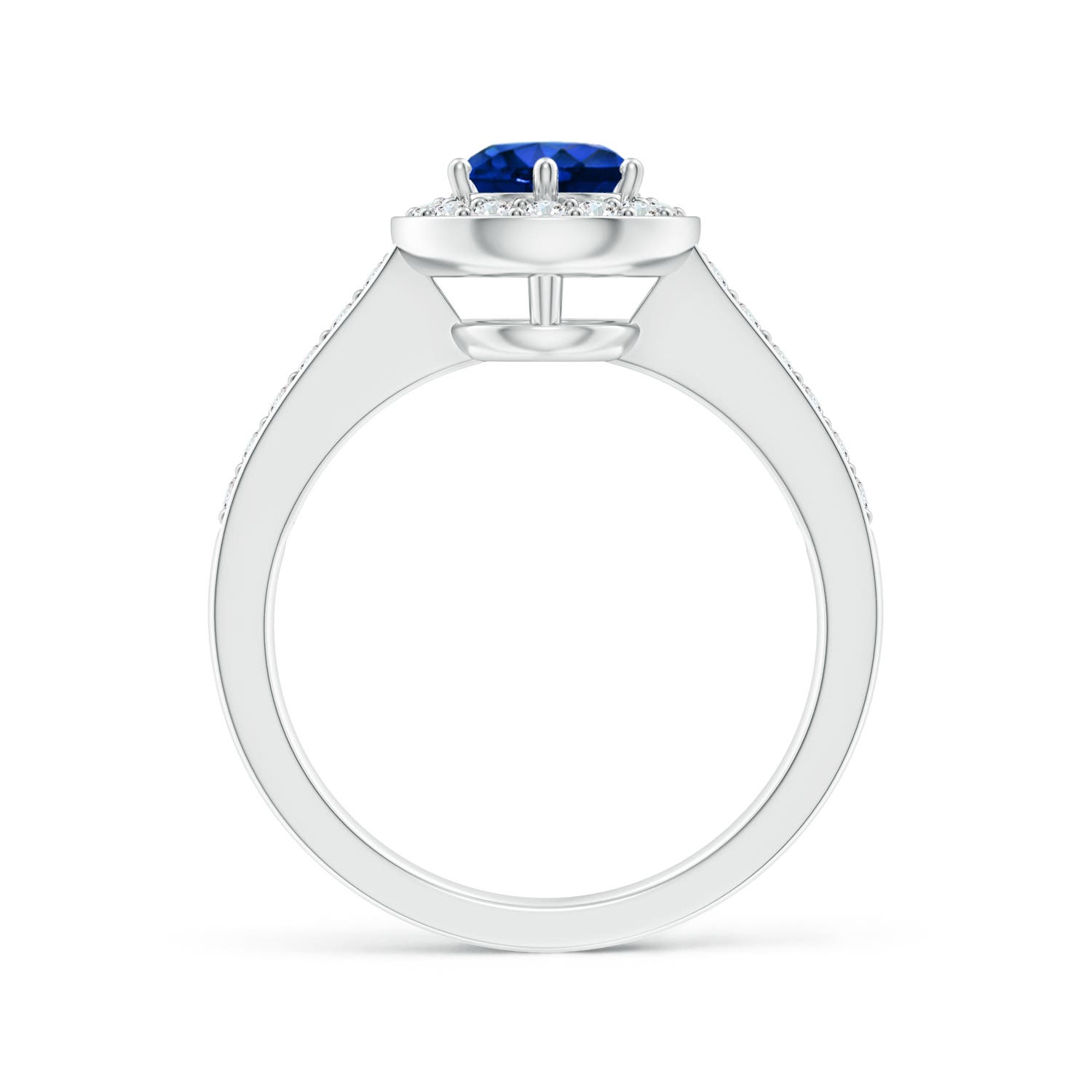 6mm AAAA Blue Sapphire Halo Ring with Diamond Accents in White Gold