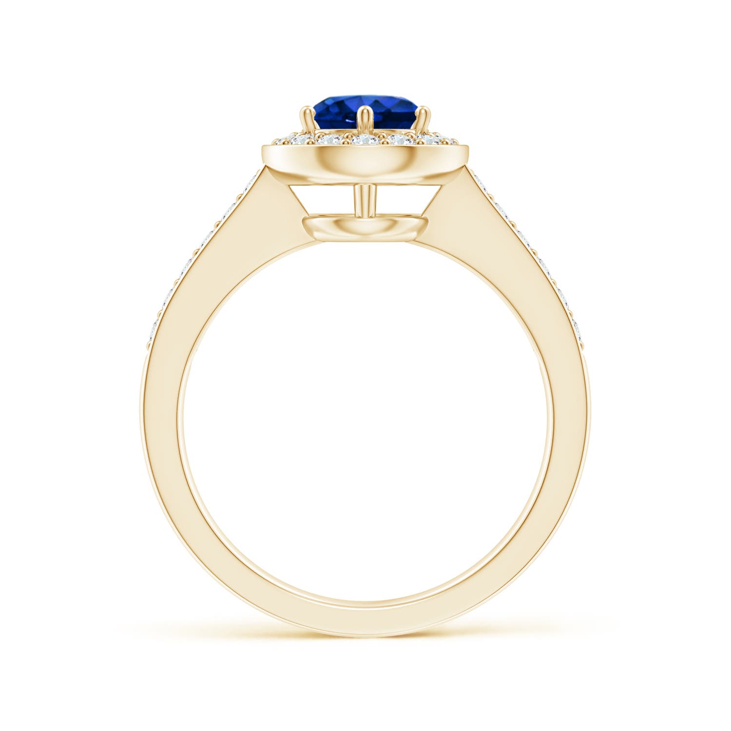 AAAA - Blue Sapphire / 1.36 CT / 14 KT Yellow Gold