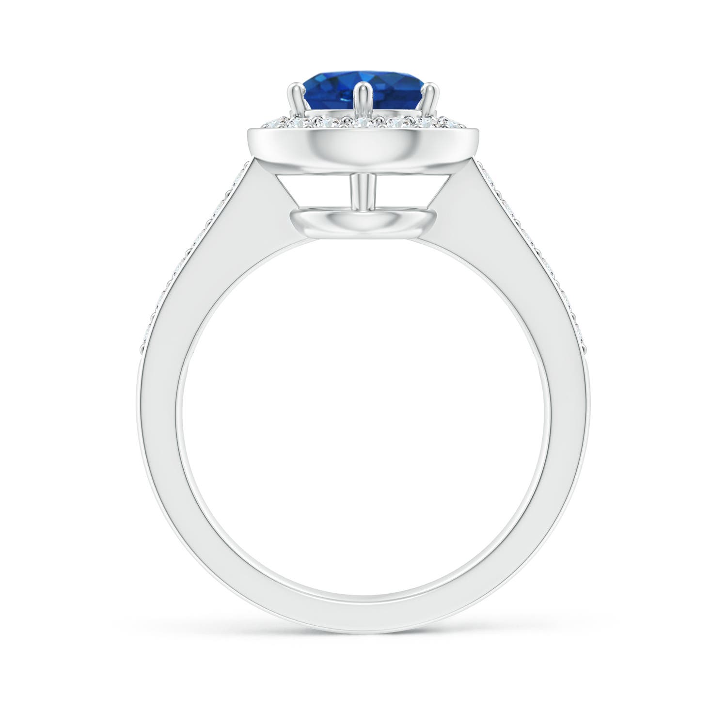 7mm AAA Blue Sapphire Halo Ring with Diamond Accents in White Gold