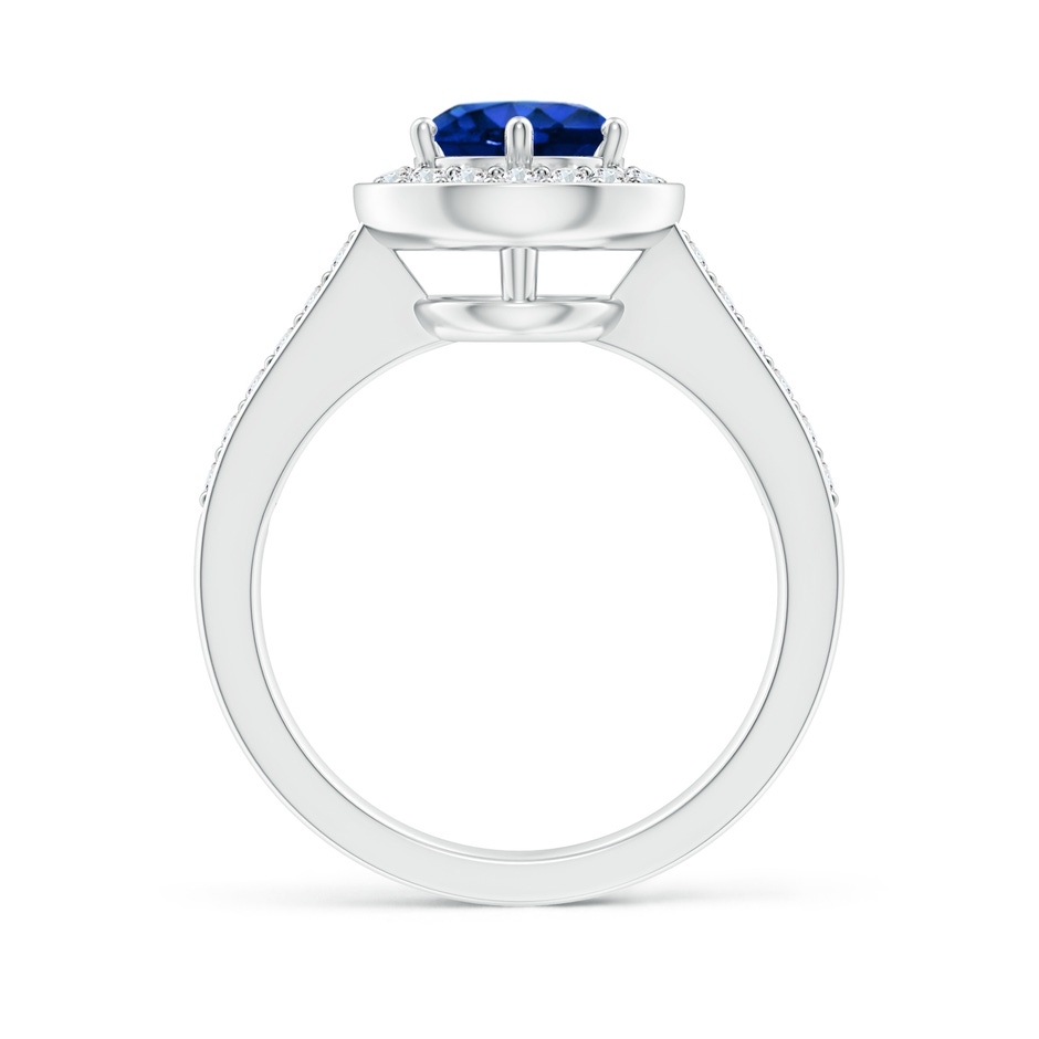 7mm AAAA Blue Sapphire Halo Ring with Diamond Accents in White Gold side 199