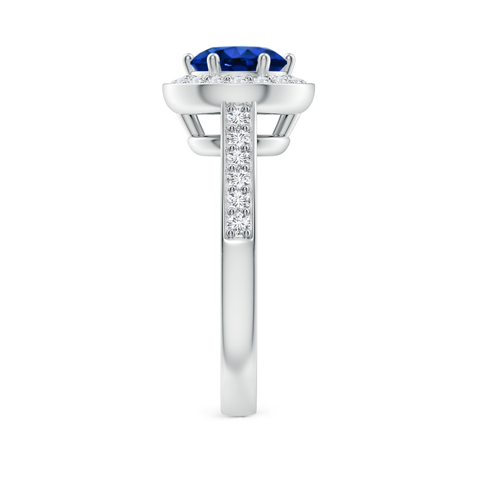 7mm AAAA Blue Sapphire Halo Ring with Diamond Accents in White Gold side 299