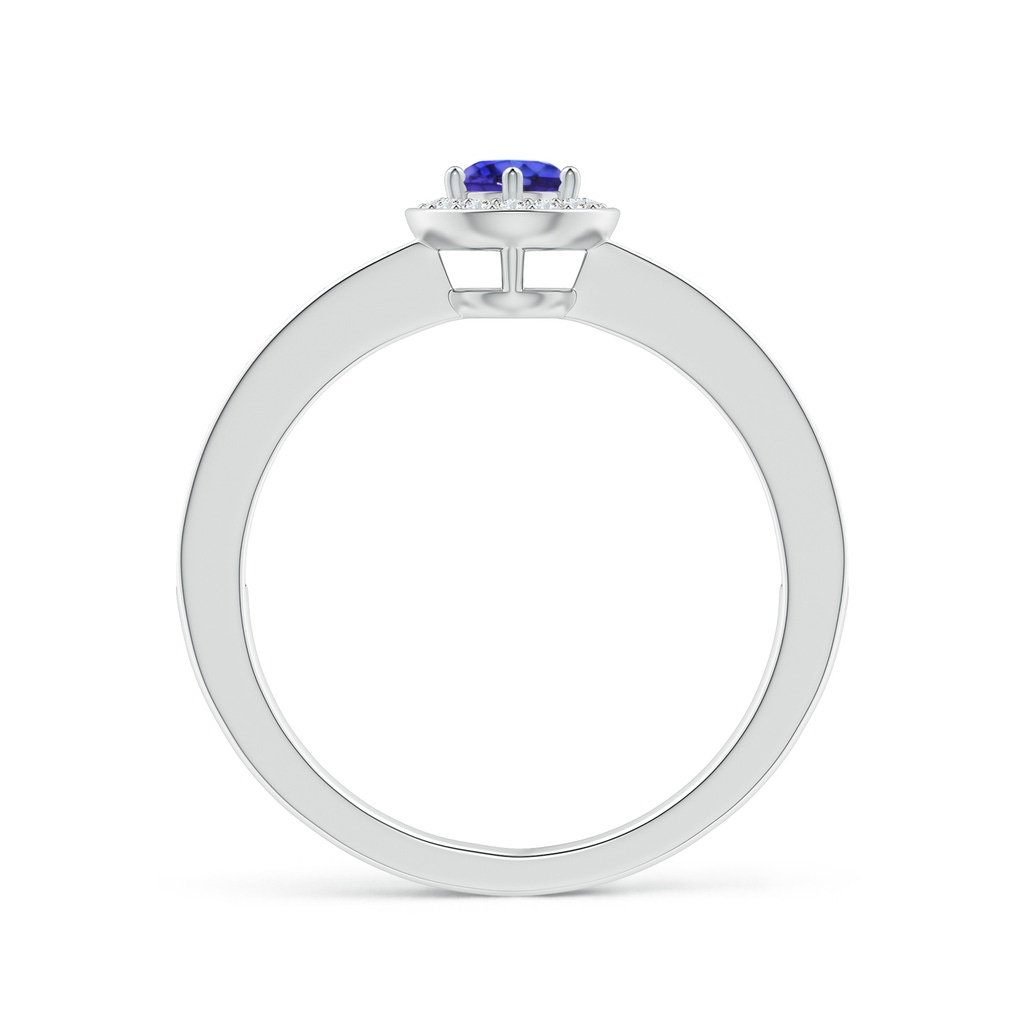 4mm AAAA Tanzanite Halo Ring with Diamond Accents in White Gold Side1