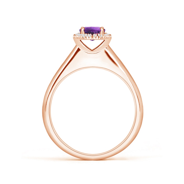 5mm AAA Classic Round Amethyst and Diamond Halo Ring in 10K Rose Gold Product Image
